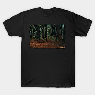 Into the forest II T-Shirt